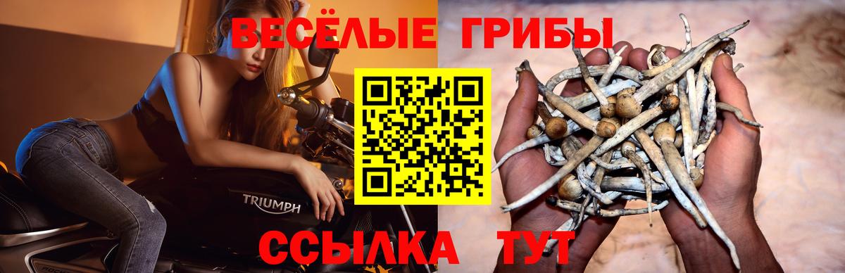 Энгельс  Галлюциногенные грибы прущие грибы  даркнет сайт  Вход с VPN  Галлюциногенные грибы прущие грибы 